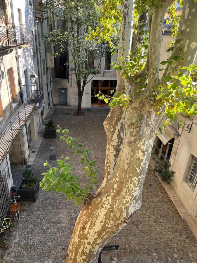La Charmante Du Palais 2 Chambres Avignon Luaran gambar